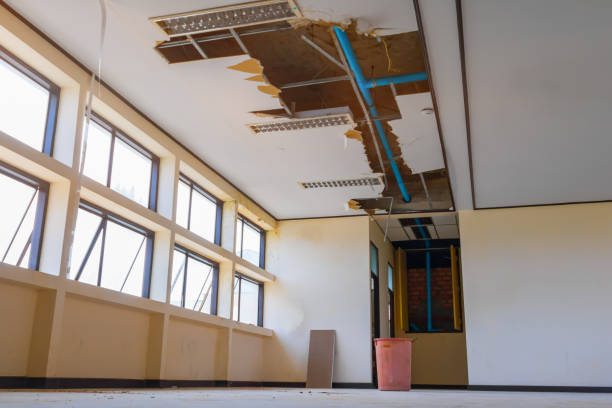 Best Sewage cleanup and water damage restoration  in Paulina, LA