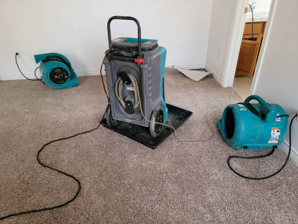 Best Mold removal after water damage  in Paulina, LA