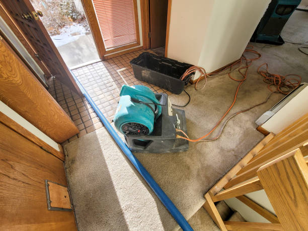 Best Professional water damage repair  in Paulina, LA