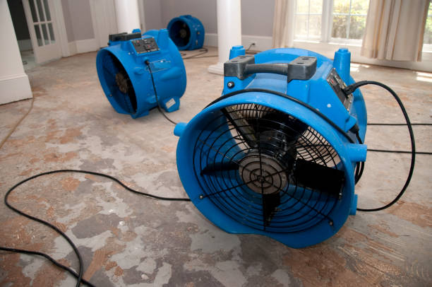 Best Commercial water damage restoration  in Paulina, LA