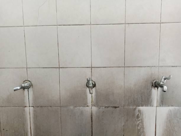 Best Water damage restoration near me  in Paulina, LA