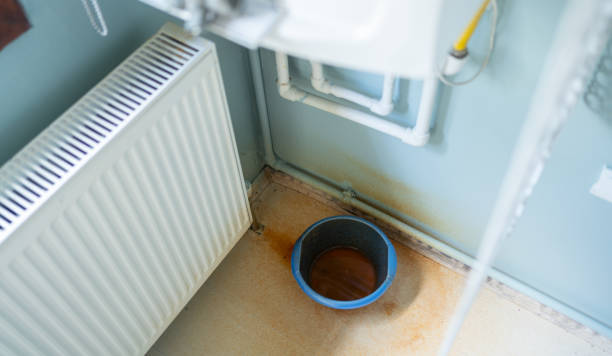 Best Flood damage cleanup  in Paulina, LA