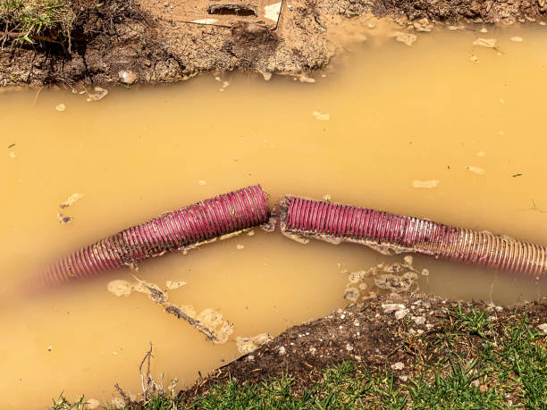 Best Flood restoration services  in Paulina, LA